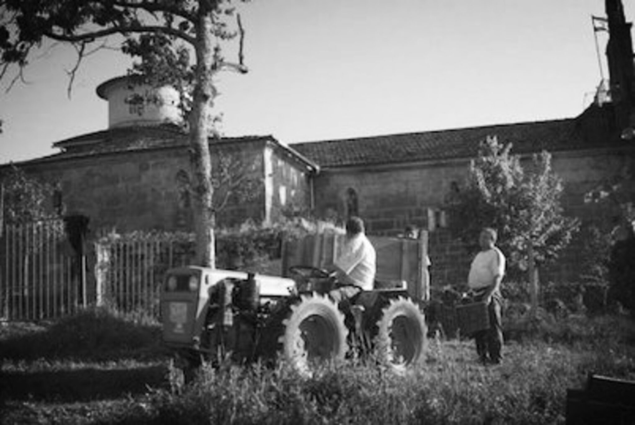 Tractor Transportando Uvas